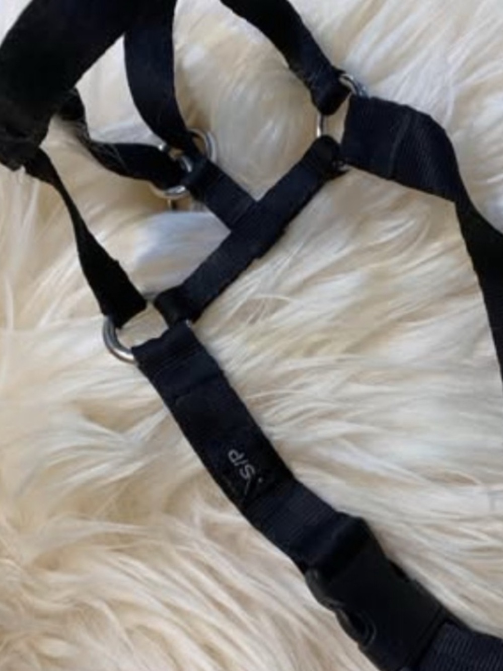 SALE!! Anti pulling head collar